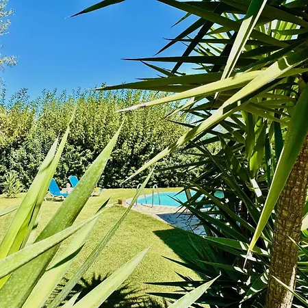 Fotini With Private Pool By Dadovillas *